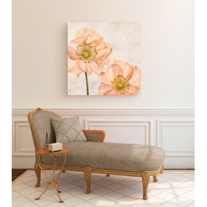 Wall art print and canvas. Luca Villa, Poppies in Pink I