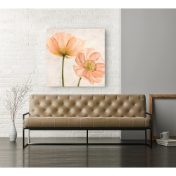 Wall art print and canvas. Luca Villa, Poppies in Pink II