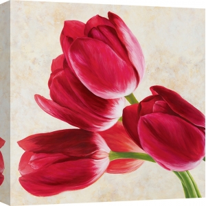 Tableau floral sur toile. Luca Villa, Tulip concerto (détail)