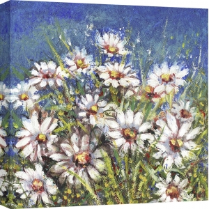 Cuadros de flores en canvas. Florio, Campo de margaritas