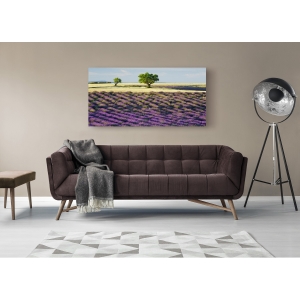 Wall art print and canvas. Krahmer, Lavender field and almond tree, Provence, France