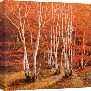 Cuadros de bosques en canvas. Galasso, Bosque de abedul II