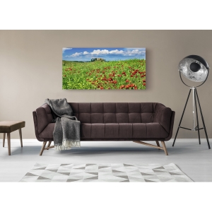 Tableau sur toile. Maison de campagne avec cyprès et coquelicots