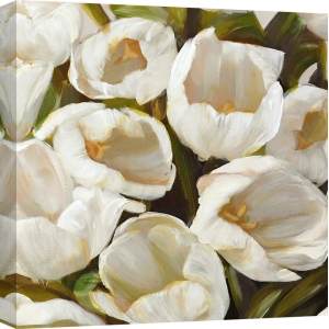Cuadros tulipanes en canvas. Sanna, Blanco I
