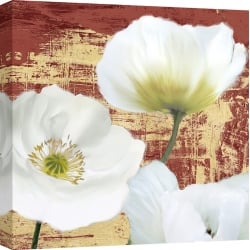 Wall art print and canvas. Leonardo Sanna, Washed Poppies (Red & Gold) II