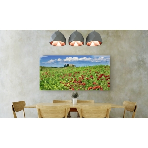 Tableau sur toile. Maison de campagne avec cyprès et coquelicots