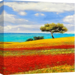 Cuadros de paisajes de campo en canvas. Masera, Mediterraneo II