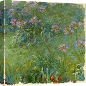 Cuadro en canvas. Claude Monet, Agapanthe