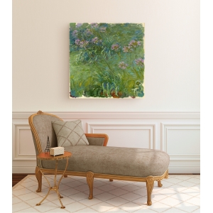 Wall art print and canvas. Claude Monet, Agapanthe