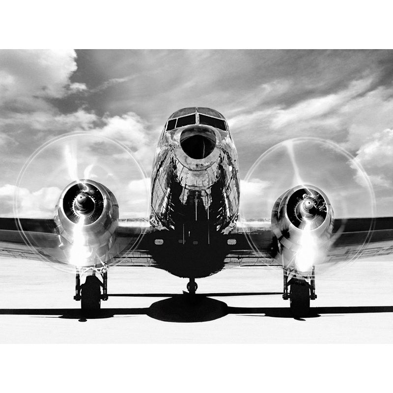 Wall art print and canvas. Gasoline Images, Airplaine taking off