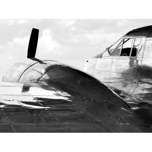 Wall art print and canvas. Monica Borboor, Vintage Aircraft (detail)