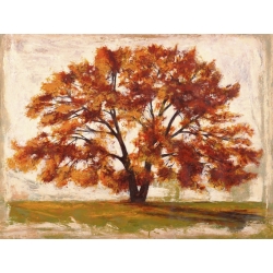 Cuadro árbol en canvas. Leonardo Bacci, Árbol de la mañana