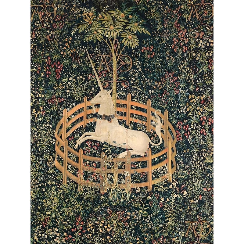 Wall art print and canvas. Unicorn in Captivity