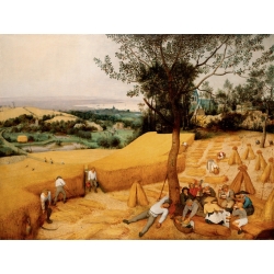 Cuadro en canvas. Pieter Bruegel the Elder, La cosecha