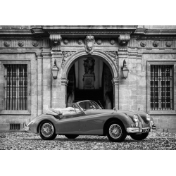 Wall art print and canvas. Gasoline Images, Luxury Car in front of Classic Palace (BW)