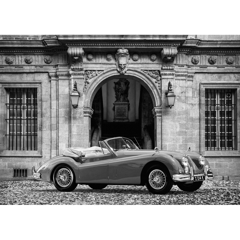 Quadro, stampa su tela. Gasoline Images, Luxury Car in front of Classic Palace (BW)
