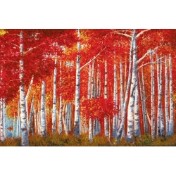 Wall art print and canvas. Angelo Masera, Birch Forest