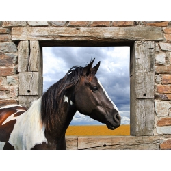 Leinwandbilder Pferde. Julian Lauren, Painted Horse