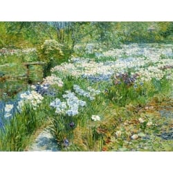 Wall art print and canvas. Frederick Childe Hassam, The Water Garden