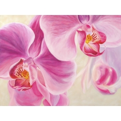 Tableau floral sur toile. Purple Orchids
