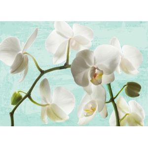 Quadro, stampa su tela. Jenny Thomlinson, Celadon Orchids