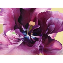 Cuadros de flores modernos en canvas. Luca Villa, Purple tulip close-up