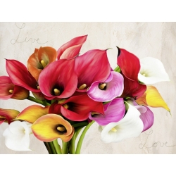 Tableau floral sur toile. Teo Rizzardi, Live & Love