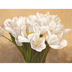 Tableau floral sur toile. Leonardo Sanna, Tulipes blanches