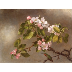 Leinwandbilder. Martin Johnson Heade, Kolibris und Apfelblüten