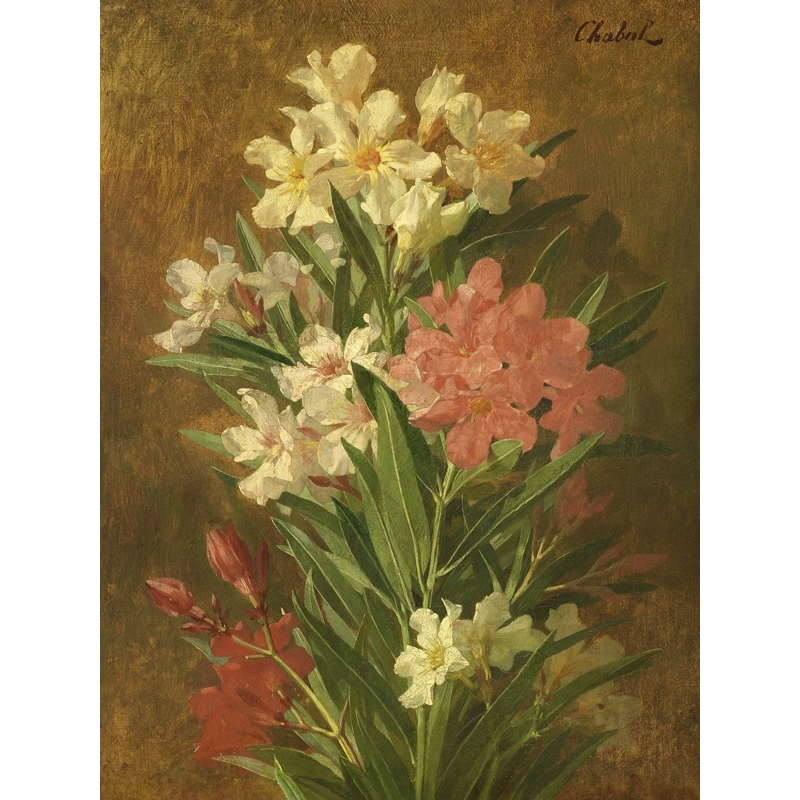 Wall art print and canvas. Pierre Adrien Chabal-Dussergey, Oleander with red and white flowers