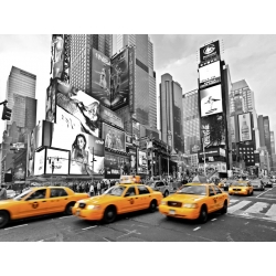 Quadro, stampa su tela. Ratsenskiy, Taxis in Times Square, New York