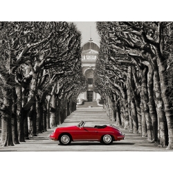 Leinwandbilder. Roadster in tree lined road, Paris