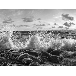 Leinwandbilder meer. Welle, Point Reyes, California (BW)