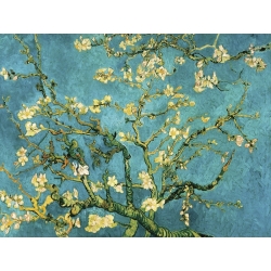 Leinwandbilder. Vincent van Gogh, Blühende Mandelbaumzweige