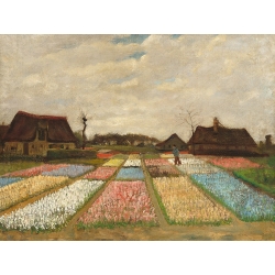Quadro, stampa su tela. Vincent van Gogh, Campi di fiori in Olanda