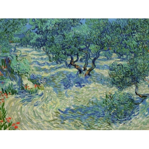 Wall art print and canvas. Vincent van Gogh, Olive Orchard