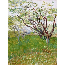 Quadro, stampa su tela. Vincent van Gogh, Frutteto in fiore