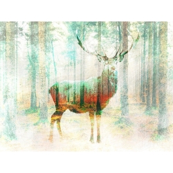 Wall art print and canvas. Arlo Wren Photos, Lord of the Woods