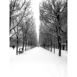 Tableau sur toile. Setboun, Parc des Tuileries à Paris sous la neige
