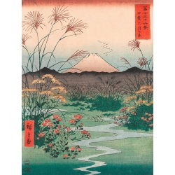 Wall art print and canvas. Ando Hiroshige, Otsuki Plain in Kai Province
