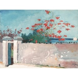 Leinwandbilder. Winslow Homer, A Wall, Nassau