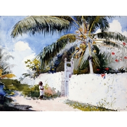 Wall art print and canvas. Winslow Homer, A Garden in Nassau