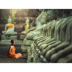 Cuadro en canvas, fotografía. Joven monje budista en oración, Tailandia