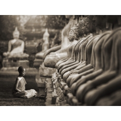 Quadro, stampa su tela. Pangea Images, Giovane monaco buddista in preghiera, Tailandia (sepia)