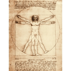 Leinwandbilder. Leonardo da Vinci, Vitruvianischer Mensch