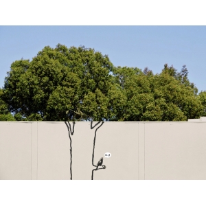 Tableau sur toile. Graffiti attributed to Banksy. San Francisco