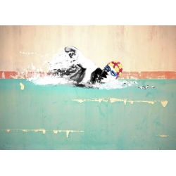 Cuadros graffiti en canvas. Masterfunk Collective, Swim on! Bronx, NYC