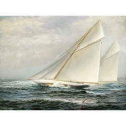 Wall art print and canvas. James Gale Tyler, America's Cup Racing