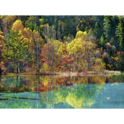 Cuadros naturaleza en canvas. Bosque con los colores del otoño, China