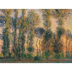 Leinwandbilder. Claude Monet, Pappeln in Giverny, Sonnenaufgang